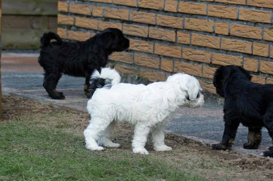 Das Trio auf Wanderschaft