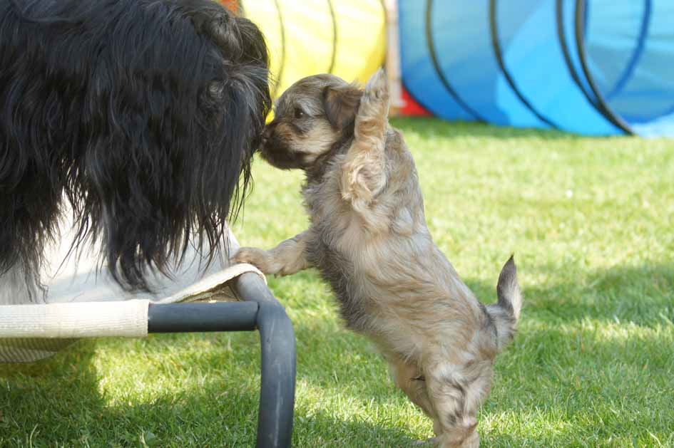 Hi Mami, give me five!