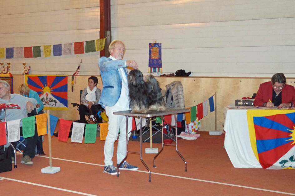 Ka-li auf dem Richtertisch (Veteranen-Jubilumssieger)