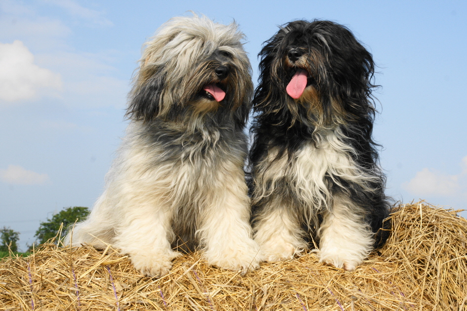 Dharani (r.) mit Schwester Fleur