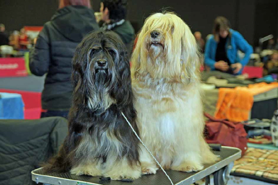 Yuma und Jandra warten auf ihren Einsatz