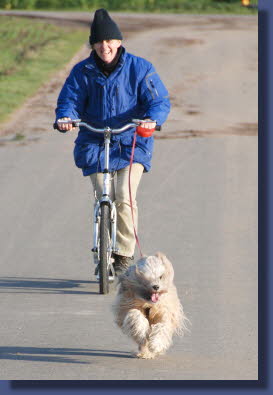 Rupa Dhatu Ji-la hat Spa beim Dogscooting