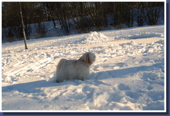 "In Luxemburg war nicht soviel Schnee."