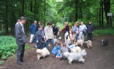 Hundespaziergang "Am Rschen"