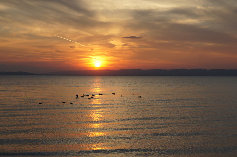 Sonnenuntergang am Neusiedler See